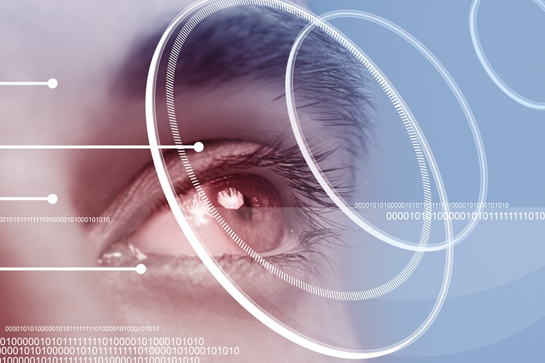 Vision